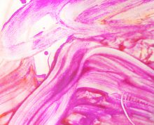 Scannen0016_col